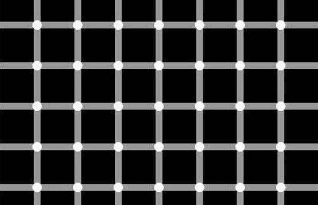 hermann grid illusion