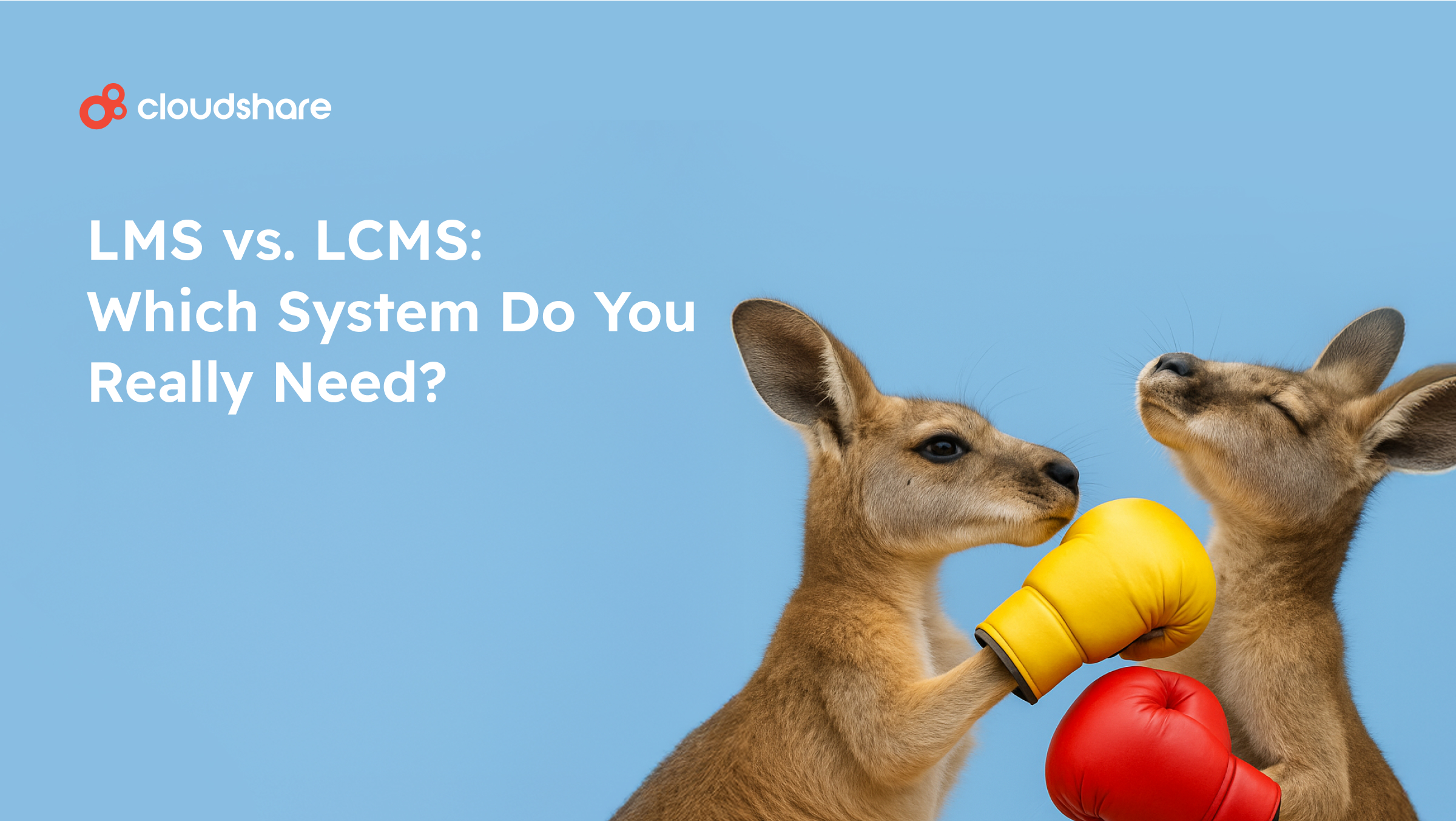 LMS vs. LCMS: Which System Do You Really Need